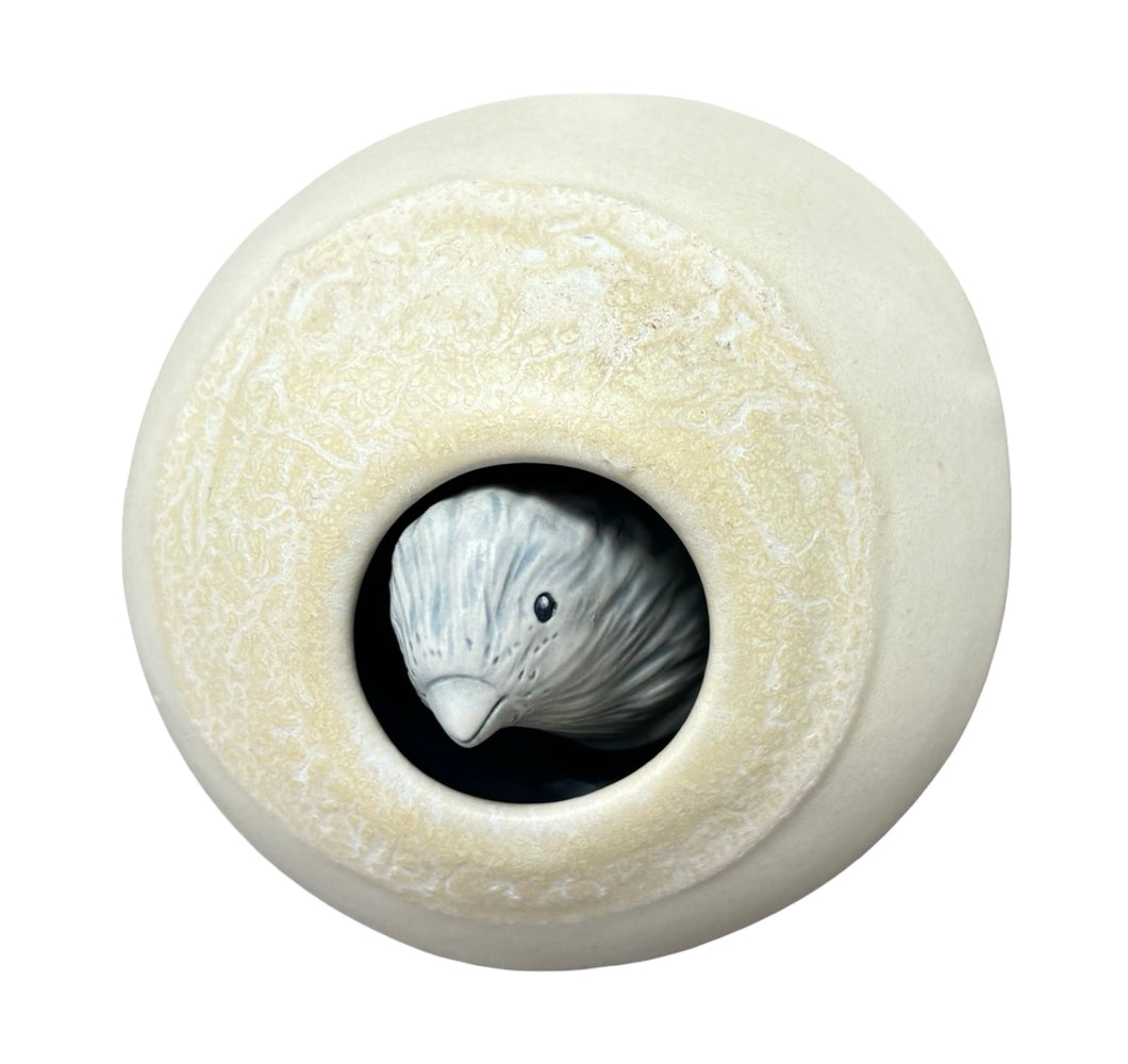 Nest